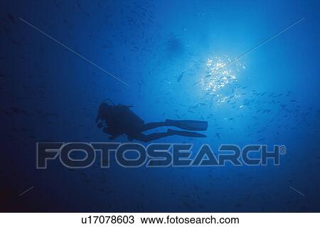 Diver View Large Photo Image Stock Image - Diver. Fotosearch