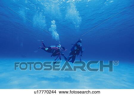 Picture - Divers. Fotosearch