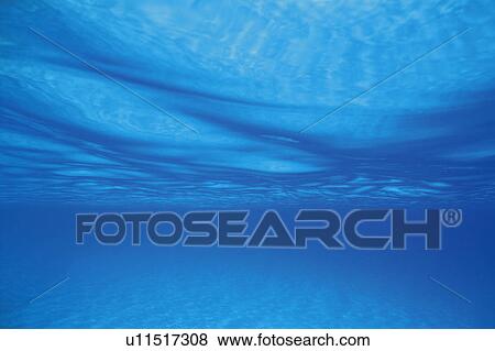 In the sea View Large Photo Image Stock Photo - In the sea. Fotosearch