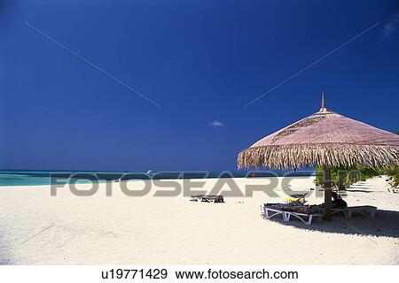 Stock Photo -  a Beach With Several Sunlounger Under a Sunshade, Maldives, Micronesia. Fotosearch