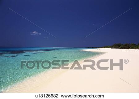 a Maldivian Beach With Its White Sand and Clear Water Under the Blue Sky, Side View, Maldives, Micronesia View Large Photo Image Stock Image - a Maldivian Beach With Its White Sand and Clear Water Under the Blue Sky, Side View, Maldives, Micronesia. Fotosearch