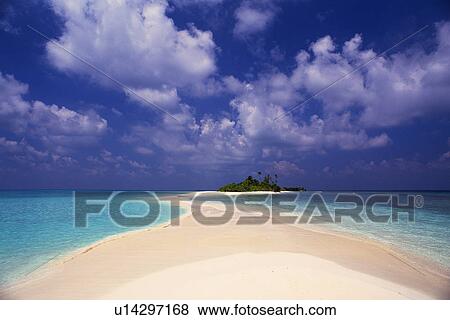 a Maldivian Beach With the Ocean on Both Sides, Front View, Maldives, Micronesia View Large Photo Image Stock Photo - a Maldivian Beach With the Ocean on Both Sides, Front View, Maldives, Micronesia. Fotosearch