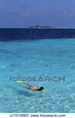 a Person Snorkeling in the Clear, Light Blue-colored Ocean of the Maldives, Micronesia View Large Photo Image Stock Image - a Person Snorkeling in the Clear, Light Blue-colored Ocean of the Maldives, Micronesia. Fotosearch