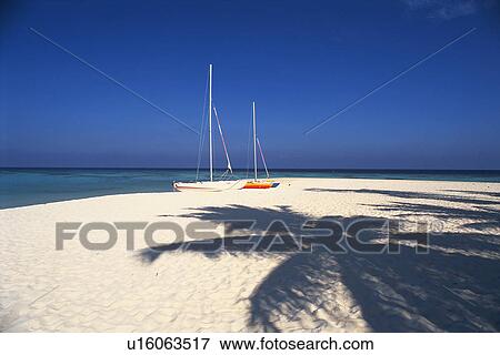 a Sailing Boat at the Beach, the Shadow of a Palm Tree Visual, Maldives, Micronesia View Large Photo Image Stock Photo - a Sailing Boat at the Beach, the Shadow of a Palm Tree Visual, Maldives, Micronesia. Fotosearch