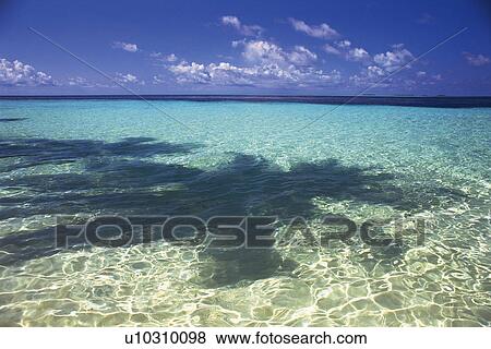 Stock Photo -  a Shadow of a Palm Tree, Visual on the Ocean Water, High Angle View, Maldives, Micronesia. Fotosearch