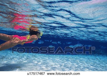 Stock Photo -  a Woman Snorkeling in the Maldivian Ocean, Surrounded By Fish, Side View, Maldives, Micronesia. Fotosearch