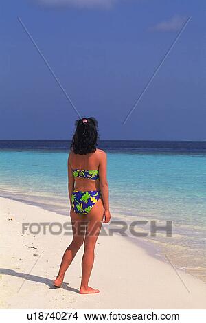 Picture -  a Woman Standing at the Beach, Looking at the Clear Maldivian Ocean water, Rear View, Maldives, Micronesia. Fotosearch
