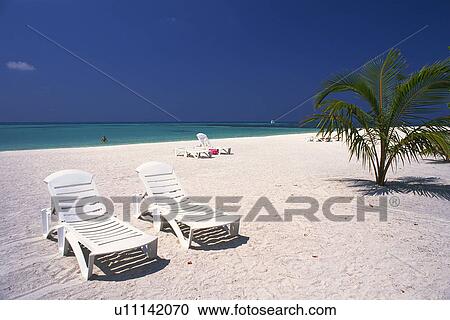 Stock Image -  Several White Sunlounger at the Beach Under a Blue Sky, High Angle View, Maldives, Micronesia. Fotosearch