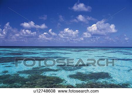 the Clear, Light Blue-colored Ocean with Some Seaweed Under a Blue Sky, Maldives, Micronesia View Large Photo Image Stock Photo - the Clear, Light Blue-colored Ocean with Some Seaweed Under a Blue Sky, Maldives, Micronesia. Fotosearch