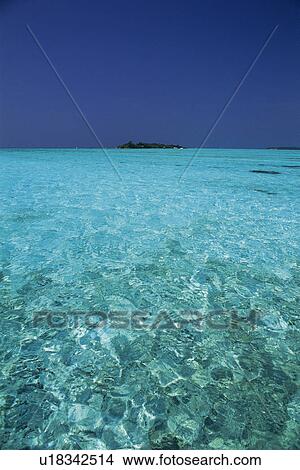 The Republic of Maldives Under a Blue Sky, and the Clear, Light Blue-colored Ocean In Front, Far View, Maldives, Micronesia, Copy Space View Large Photo Image Picture - The Republic of Maldives Under a Blue Sky, and the Clear, Light Blue-colored Ocean In Front, Far View, Maldives, Micronesia, Copy Space . Fotosearch
