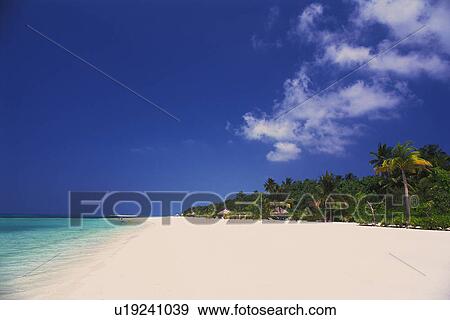 The Republic of Maldives With Its Light Blue-Color Ocean water and White Sand Under a Blue Sky, Maldives, Micronesia View Large Photo Image Stock Photo - The Republic of Maldives With Its Light Blue-Color Ocean water and White Sand Under a Blue Sky, Maldives, Micronesia. Fotosearch