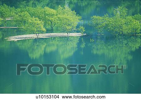 a Calm Sea With the Water Reflecting the Trees in the Background, Front View, Akita Prefecture, Japan View Large Photo Image Picture -  a Calm Sea With the Water Reflecting the Trees in the Background, Front View, Akita Prefecture, Japan. Fotosearch