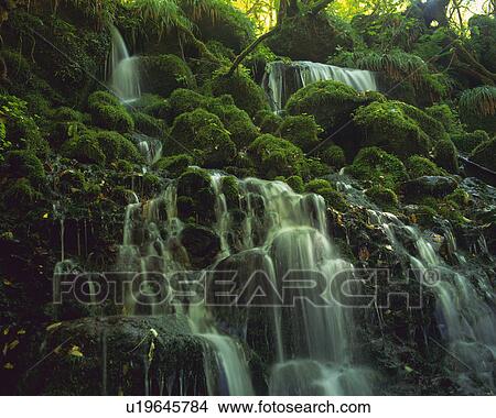 a Calm Waterfall, Surrounded By Rocks and Trees, Low Angle View, Long Exposure View Large Photo Image Picture - a Calm Waterfall, Surrounded By Rocks and Trees, Low Angle View, Long Exposure. Fotosearch