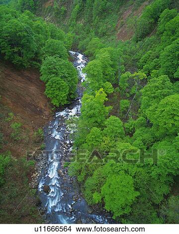 a Canyon, Surrounded By Trees and Rocks, High Angle View, Yamagata Prefecture, Japan View Large Photo Image Picture - a Canyon, Surrounded By Trees and Rocks, High Angle View, Yamagata Prefecture, Japan. Fotosearch