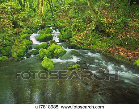 a Little Mountain Stream, Surrounded By Rocks Covered With Moss and Several Trees, High Angle View, Long Exposure, Akita Prefecture, Japan View Large Photo Image Stock Photography - a Little Mountain Stream, Surrounded By Rocks Covered With Moss and Several Trees, High Angle View, Long Exposure, Akita Prefecture, Japan. Fotosearch