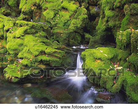 Stock Photography -  a Little Waterfall, Surrounded By Rocks Covered With Moss, High Angle View, Long Exposure, Iwate Prefecture, Japan. Fotosearch