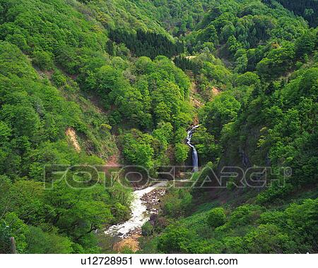 a Mountain Stream, Surrounded By a Green, Uneven Environment, High Angle View, Yamagata Prefecture, Japan View Large Photo Image Stock Image - a Mountain Stream, Surrounded By a Green, Uneven Environment, High Angle View, Yamagata Prefecture, Japan. Fotosearch