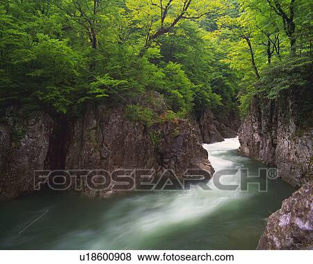 Stock Photo -  a Mountain Stream, Surrounded By Large Cliff and Trees, Long Exposure. Fotosearch