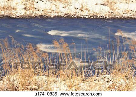 Stock Photography -  a Streaming Lake, Next to Some Brushwood and Snow, Fukui Prefecture, Japan, High Angle View. Fotosearch