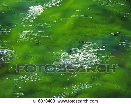 a Water Stream, High Angle View, Akita Prefecture, Japan View Large Photo Image Stock Image - a Water Stream, High Angle View, Akita Prefecture, Japan. Fotosearch