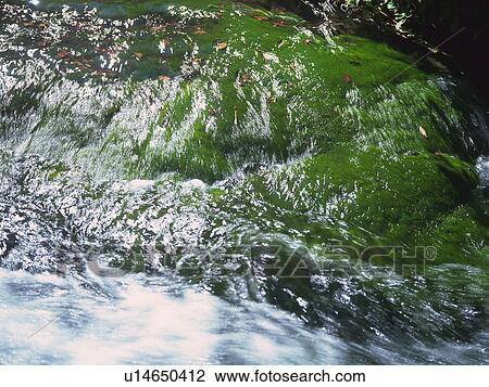 Stock Image -  a Water Stream, High Angle View, Long Exposure, Akita Prefecture, Japan. Fotosearch