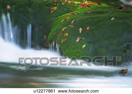 a Waterfall and a Rock Covered With Moss, High Angle View View Large Photo Image Stock Image - a Waterfall and a Rock Covered With Moss, High Angle View. Fotosearch