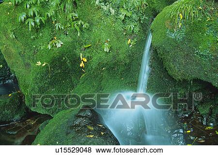 Stock Photo -  a Waterfall, Surrounded By Rocks Covered With Moss, High Angle View, Long Exposure, Akita Prefecture, Japan. Fotosearch