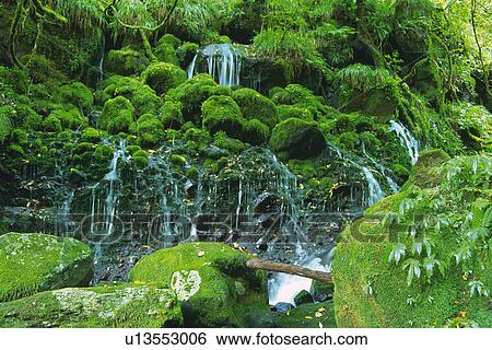 a Waterfall, Surrounded By Rocks Covered With Moss and Trees, Low Angle View, Akita Prefecture, Japan View Large Photo Image Stock Photograph - a Waterfall, Surrounded By Rocks Covered With Moss and Trees, Low Angle View, Akita Prefecture, Japan. Fotosearch