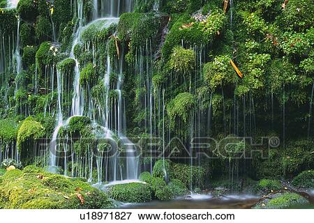 Stock Photo -  a Waterfall, Surrounded By Several Trees, Side View, Akita Prefecture, Japan. Fotosearch