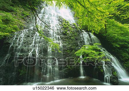 a Waterfall, Surrounded By Several Trees, Low Angle View, Long Exposure, Fukui Prefecture, Japan View Large Photo Image Stock Photograph -  a Waterfall, Surrounded By Several Trees, Low Angle View, Long Exposure, Fukui Prefecture, Japan. Fotosearch