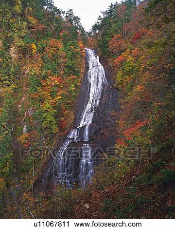 Stock Image -  a Waterfall, Surrounded By Autumn-colored Leaves, Low Angle View, Akita Prefecture, Japan. Fotosearch
