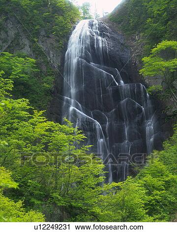 Stock Image -  a Waterfall, Surrounded By Trees and Shrubberies, Low Angle View. Fotosearch