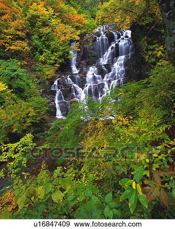 a Waterfall, Surrounded By Trees and Shrubberies, Low Angle View View Large Photo Image Stock Photo - a Waterfall, Surrounded By Trees and Shrubberies, Low Angle View. Fotosearch