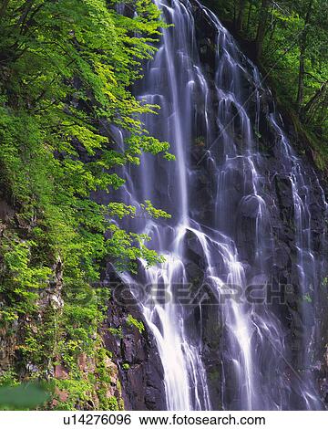 Stock Photograph -  a Waterfall, Surrounded By Trees and Shrubberies, Side View, Long Exposure. Fotosearch