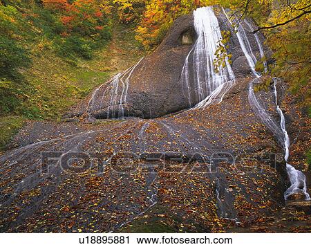 a Waterfall With Several Red-colored Leaves, Low Angle View, Aomori Prefecture, Japan View Large Photo Image Stock Image - a Waterfall With Several Red-colored Leaves, Low Angle View, Aomori Prefecture, Japan. Fotosearch