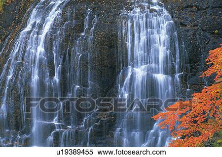 Stock Photography -  a Waterfall With Several Autumn-colored Leaves in Front, Front View, Long Exposure, Akita Prefecture, Japan. Fotosearch