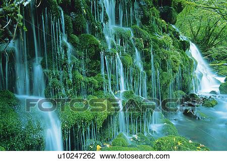 Stock Image -  Several Waterfalls, Surrounded By Trees and Green Bushes, Side View, Akita Prefecture, Japan. Fotosearch