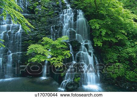 Several Waterfalls Surrounded By Trees and Green Bushes, Long Exposure, Fukui Prefecture, Japan View Large Photo Image Picture - Several Waterfalls Surrounded By Trees and Green Bushes, Long Exposure, Fukui Prefecture, Japan. Fotosearch