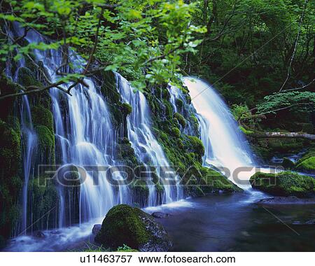 Several Waterfalls Surrounded By Trees and Rocks Covered in Moss, Side View, Long Exposure View Large Photo Image Stock Photo - Several Waterfalls Surrounded By Trees and Rocks Covered in Moss, Side View, Long Exposure. Fotosearch