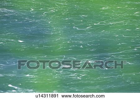 Stock Image - Streaming Water, Green From Moss, High Angle View, Akita Prefecture, Japan. Fotosearch