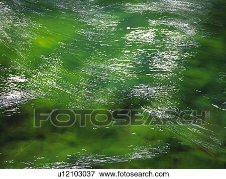 Streaming Water, Green From Moss, High Angle View, Akita Prefecture, Japan View Large Photo Image Stock Photo - Streaming Water, Green From Moss, High Angle View, Akita Prefecture, Japan. Fotosearch