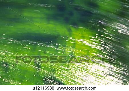Stock Photo - Streaming Water, Green From Moss, High Angle View, Akita Prefecture, Japan. Fotosearch