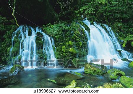Two Small Waterfall, Surrounded By Some Trees and Green Bushes, Front View, Akita Prefecture, Japan View Large Photo Image Stock Photo - Two Small Waterfall, Surrounded By Some Trees and Green Bushes, Front View, Akita Prefecture, Japan. Fotosearch