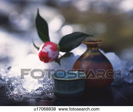 Camellia and sake set and snow View Large Photo Image Stock Photo - Camellia and sake set and snow. Fotosearch