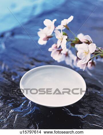 Cherry blossom and sake cup View Large Photo Image Picture - Cherry blossom and sake cup. Fotosearch