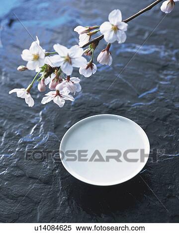 Stock Photography - Cherry blossoms and sake cup. Fotosearch