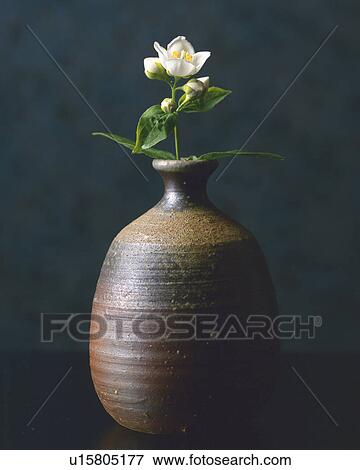 Flower vase and flower View Large Photo Image Stock Photo - Flower vase and flower. Fotosearch