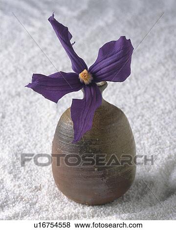 Flower vase and flower View Large Photo Image Stock Photo - Flower vase and flower. Fotosearch