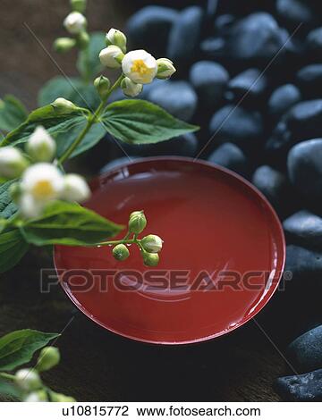 Stock Image - Flowers and sake cup. Fotosearch