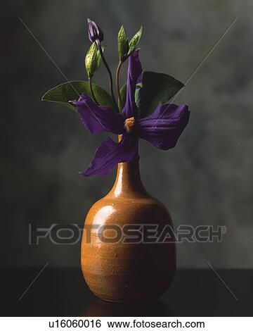 Kado, Ikebana View Large Photo Image Stock Photograph - Kado, Ikebana. Fotosearch